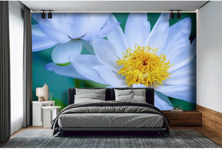 Фотообои «Прекрасные лотосы» в интерьере