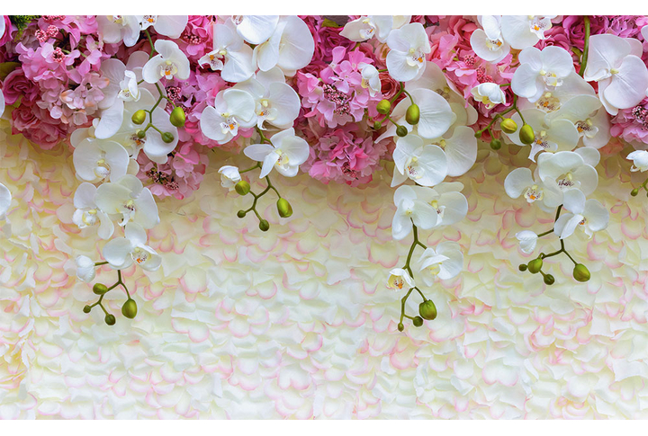 Фотообои «Ниспадающие орхидеи»
