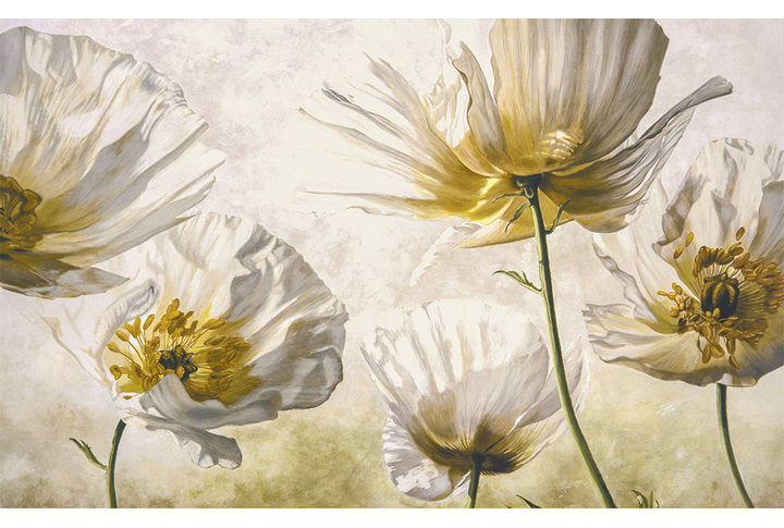 Фотообои «Белые маки под картину»