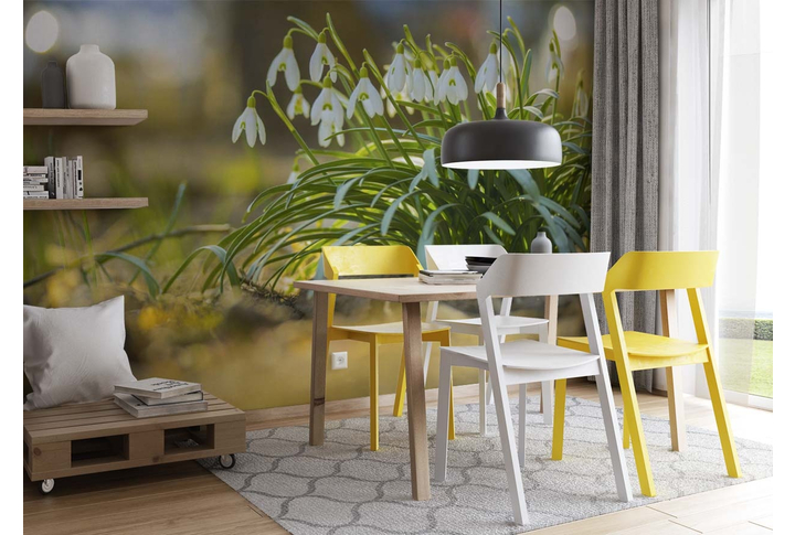 Фотообои «Первые подснежники» в интерьере