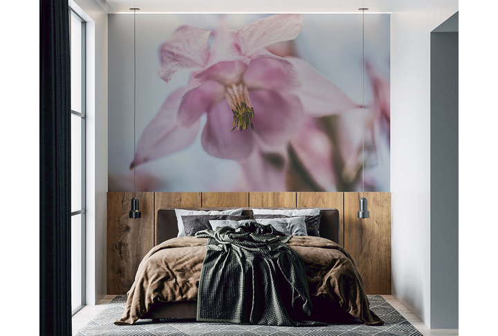 Фотообои «Цветок водосбора» в интерьере