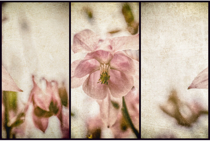 Фотообои «Винтажный цветок»