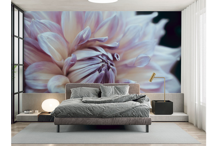 Фотообои «Астра» в интерьере