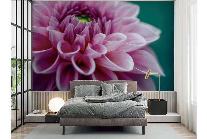 Фотообои «Объемный цветок георгины» в интерьере