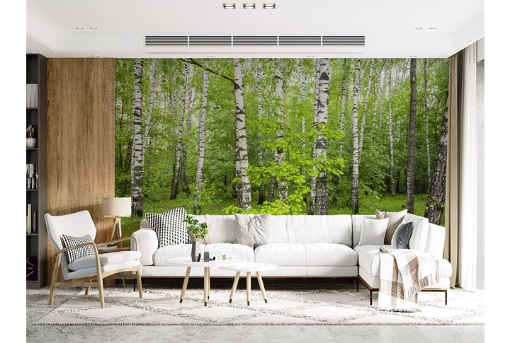 Фотообои «Березовая роща» в интерьере