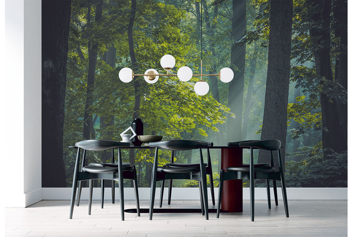 Фотообои «Туманный темный лес» в интерьере