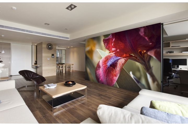 Фотообои «Лепестки ириса» в интерьере