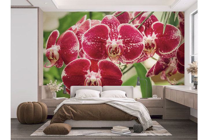Фотообои «Орхидеи в пастельных оттенках» в интерьере