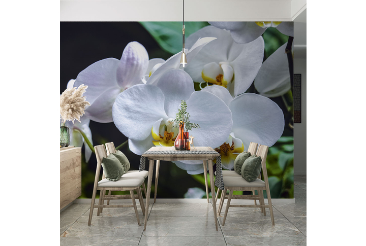 Фотообои «Белые орхидеи на темном» в интерьере
