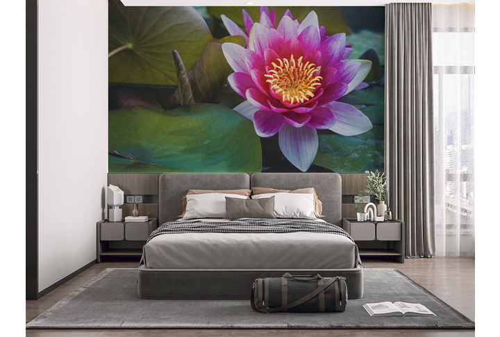 Фотообои «Цветок лотоса в листве» в интерьере