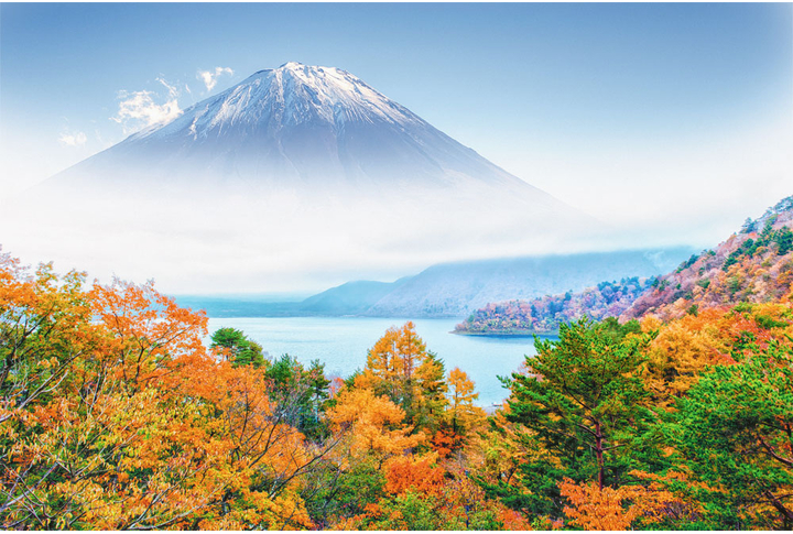 Фотообои «Гора в тумане и лес у озера»