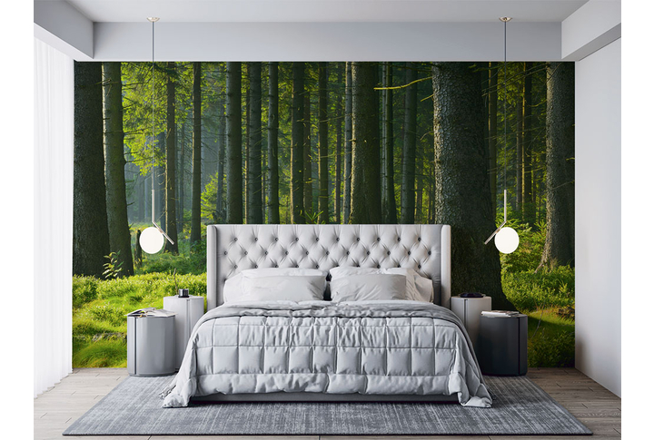 Фотообои «Хвойный лес» в интерьере