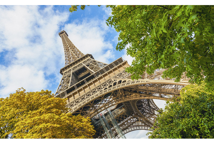 Фотообои «Вид на Эйфелеву башню»