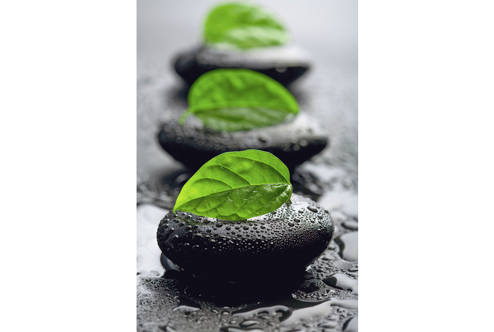 Фотообои «Листья на гладких камнях»