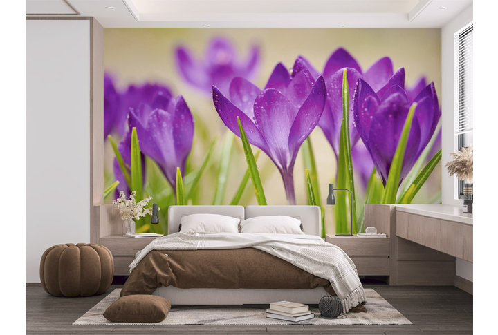 Фотообои «Нежные крокусы» в интерьере