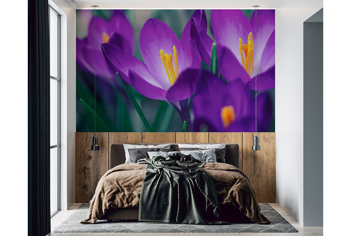 Фотообои «Фиолетовые крокусы» в интерьере