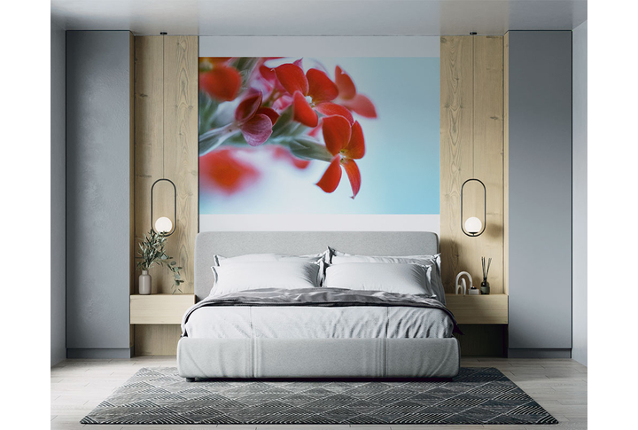 Фотообои «Красные цветы» в интерьере
