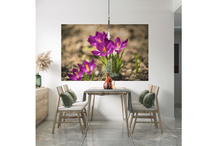 Фотообои «Крокусы, цветы подснежники» в интерьере