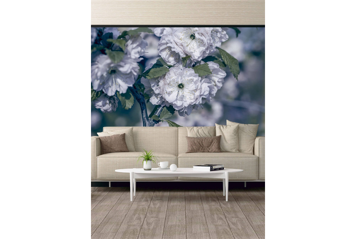 Фотообои «Красивые цветы миндаля»