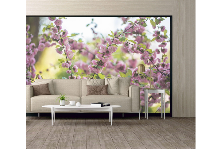 Фотообои «Цветы миндаля на ветках» в интерьере