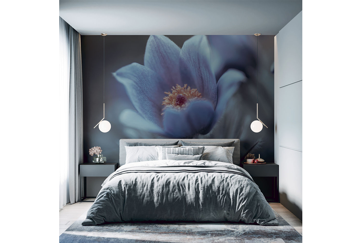 Фотообои «Цветок нежности» в интерьере