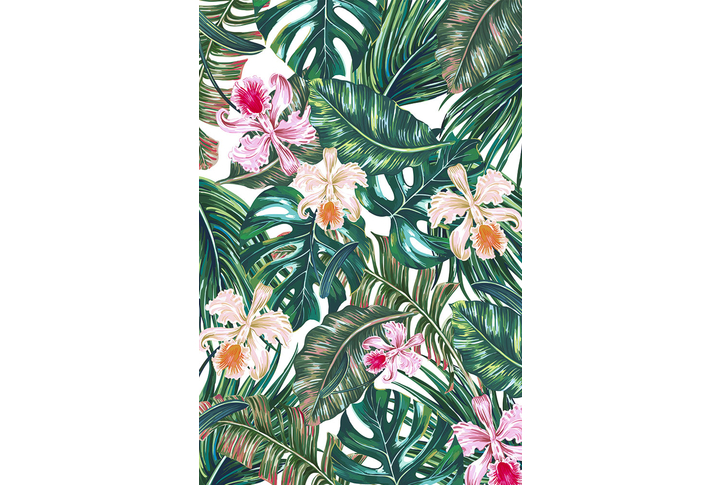 Фотообои «Орхидеи, тропические листья монстеры и пальмы»