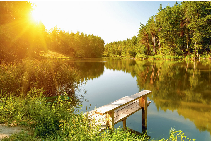 Фотообои «Утро на озере, природа с лесом у реки»