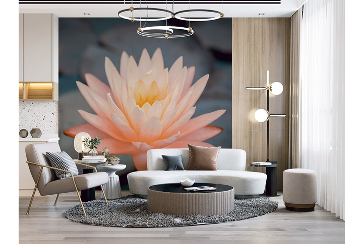 Фотообои «Лотос» в интерьере