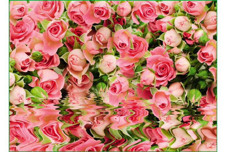 Фотообои «Великолепие»