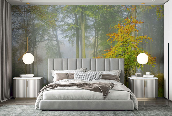 Фотообои Лес Туманный