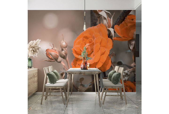 Фотообои «Крупная оранжевая роза» в интерьере