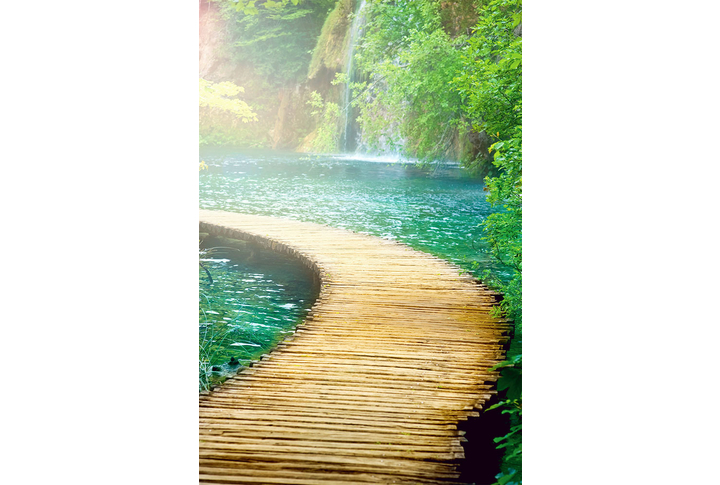 Фотообои «Дорожка к водопаду»