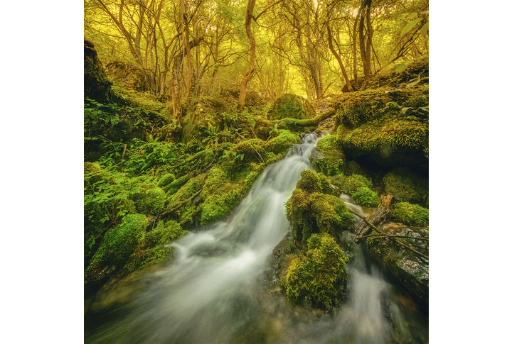 Фотообои «Водопад бегущий по камням»