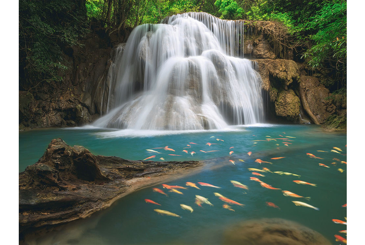 Фотообои «Лесной водопад у озера с рыбками»