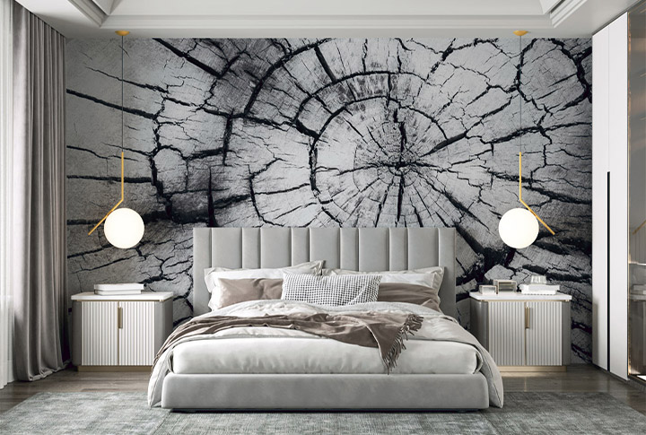 Фотообои Спил, Срез Дерева