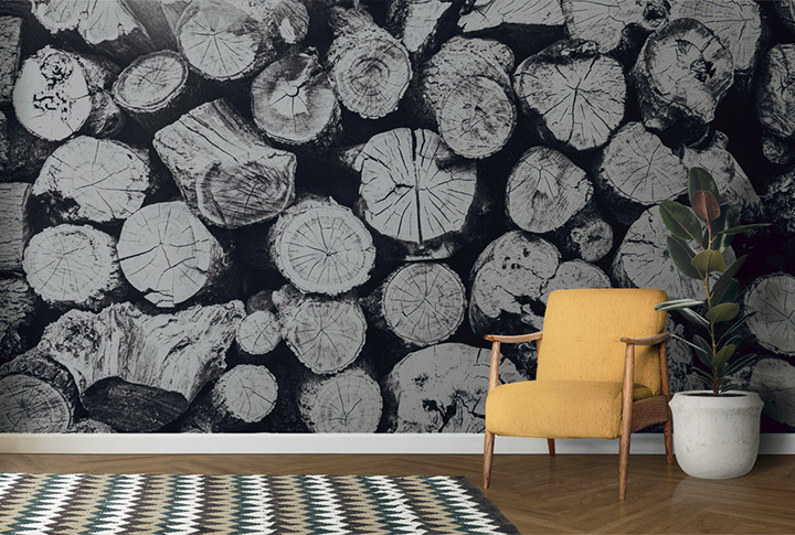 Фотообои Бревно, Полено