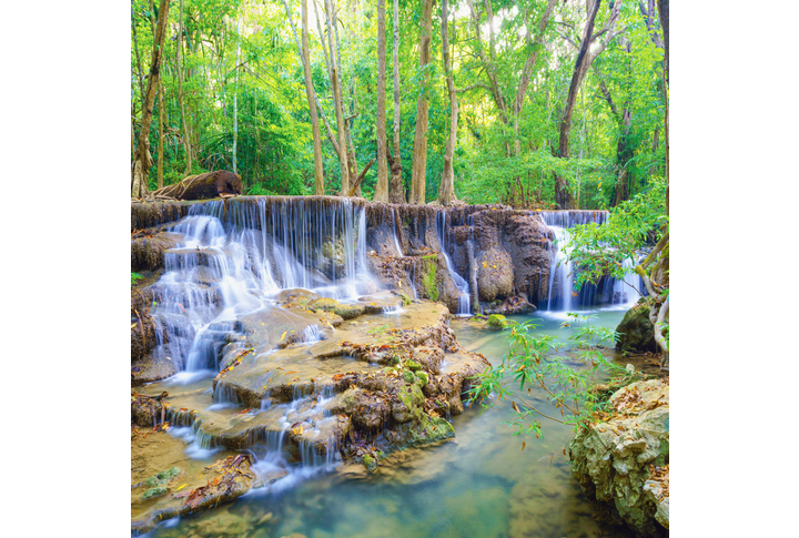 Фотообои «Водопад в джунглях, тропический лес, природа» в интерьере