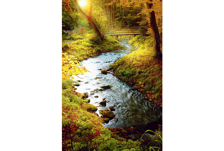 Фотообои «Мостик над речкой в осеннем лесу, красивая природа»