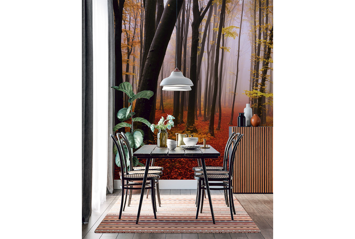 Фотообои «Туманная осень в лесу» в интерьере