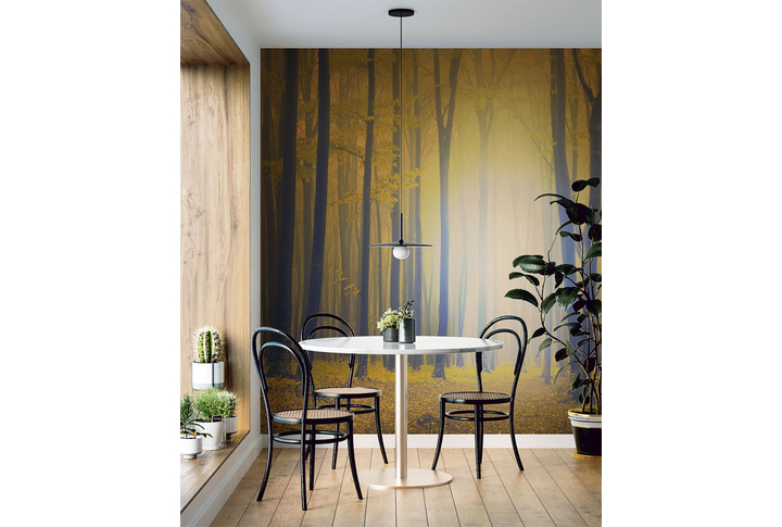 Фотообои «Осенний лес в тумане, силуэты деревьев» в интерьере