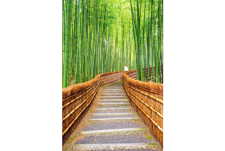 Фотообои «Лестница в бамбуковом лесу»