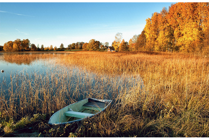 Фотообои «Приода осень, лодочка на озере в лесу»
