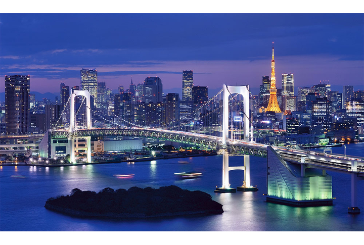 Фотообои «Панорама на мост и ночной город Токио, Япония»