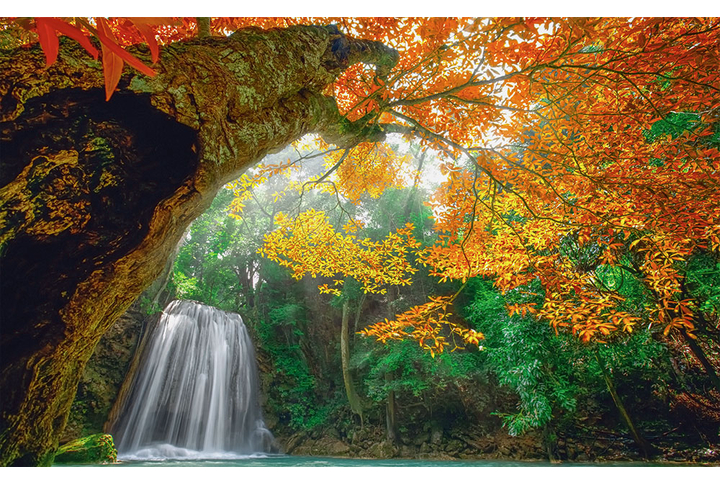Фотообои «Водопад в осеннем лесу»