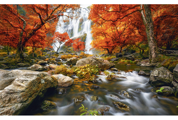 Фотообои «Водопад и река в осеннем лесу»