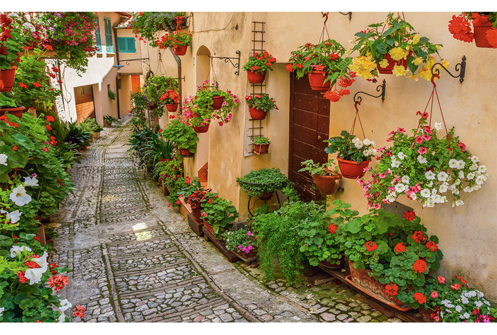 Фотообои «Итальянская улочка в цветах»