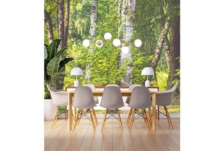 Фотообои «Березовая дубрава» в интерьере