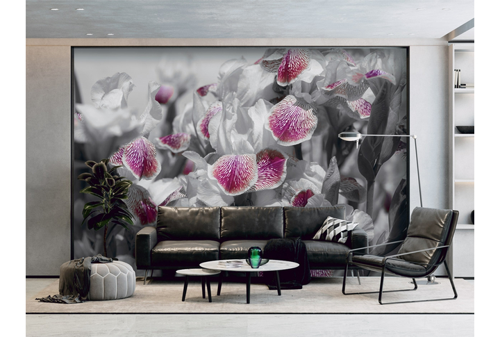 Фотообои «Ирисы черно-белые с акцентом» в интерьере