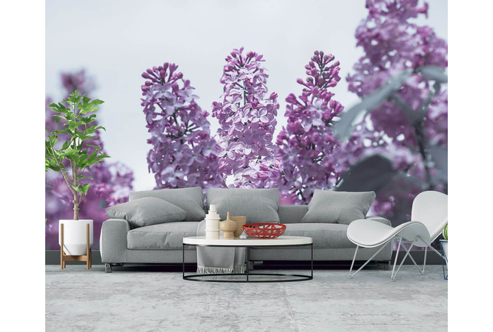 Фотообои «Сирень в цвету» в интерьере