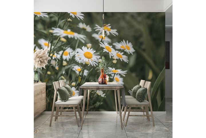 Фотообои «Ромашки» в интерьере